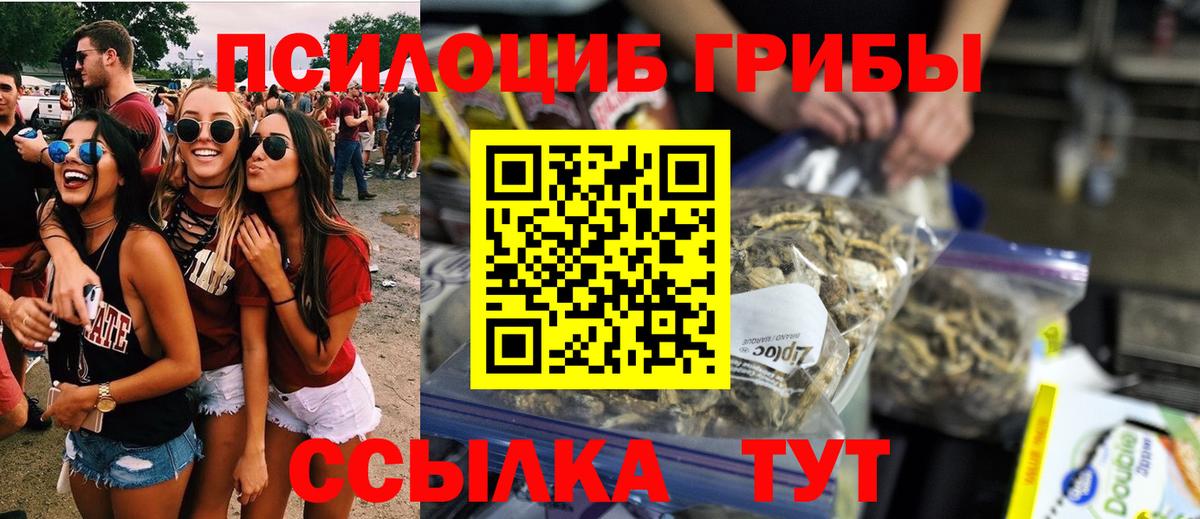 Псилоцибиновые грибы прущие грибы Урус-Мартан
